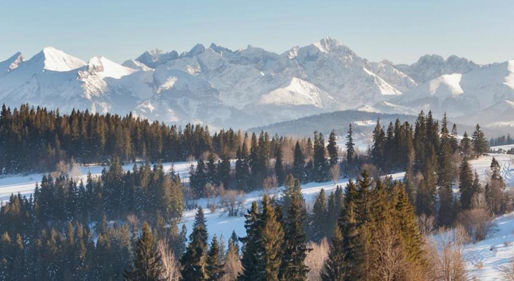 Malgosia Regionalna - 10 Minut Na Piechote Do Stoku Narciarskiego I Term Bania - Posilki Serwowane W Budynku Obok Białka Tatrzańska Extérieur photo